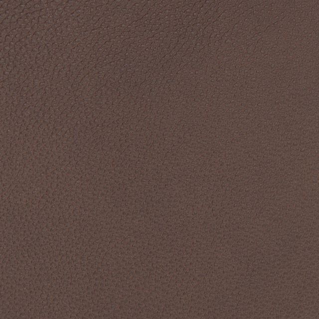 Sorrento Coffee: a deep brown leather swatch with a fine, even grain.
